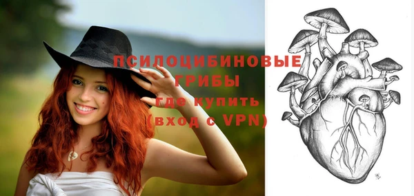 индика Алзамай