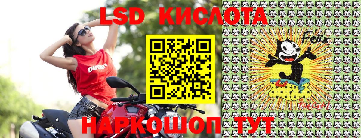 как найти наркотики  Вход с VPN  Марки NBOMe  Апатиты  Марки N-bome 1500мкг 