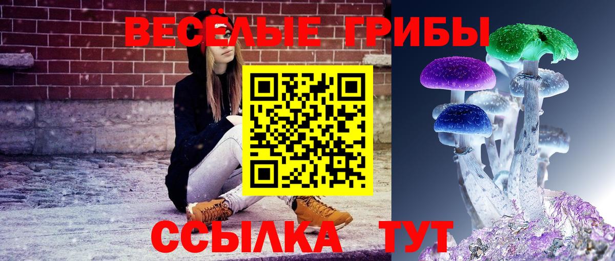 Псилоцибиновые грибы мицелий  Вход с VPN  Апатиты  Галлюциногенные грибы мухоморы 